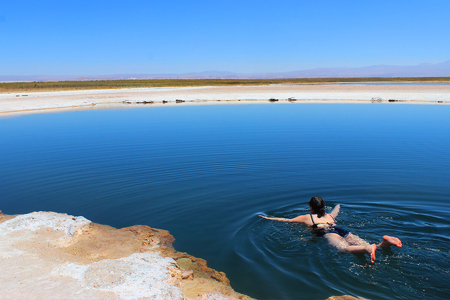 Laguna Cejar